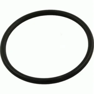 Pentair Ultra-Flow Pump Lid O-Ring (94-Present) V38-164 39300600