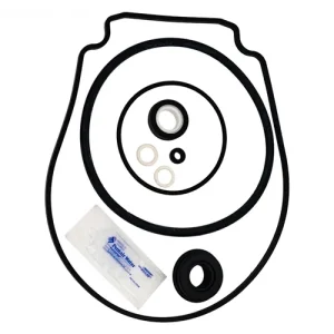 Pentair Variable Speed Pump Seal Set 356198