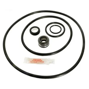 Pump Tune Up Kit (GOKIT38) Sta-Rite Dura Glas II/Max E Glas II