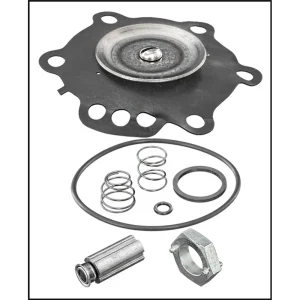 Puraqua Products Inc. 1 1/2″ Rebuild Parker Kit (#PASV150BK)