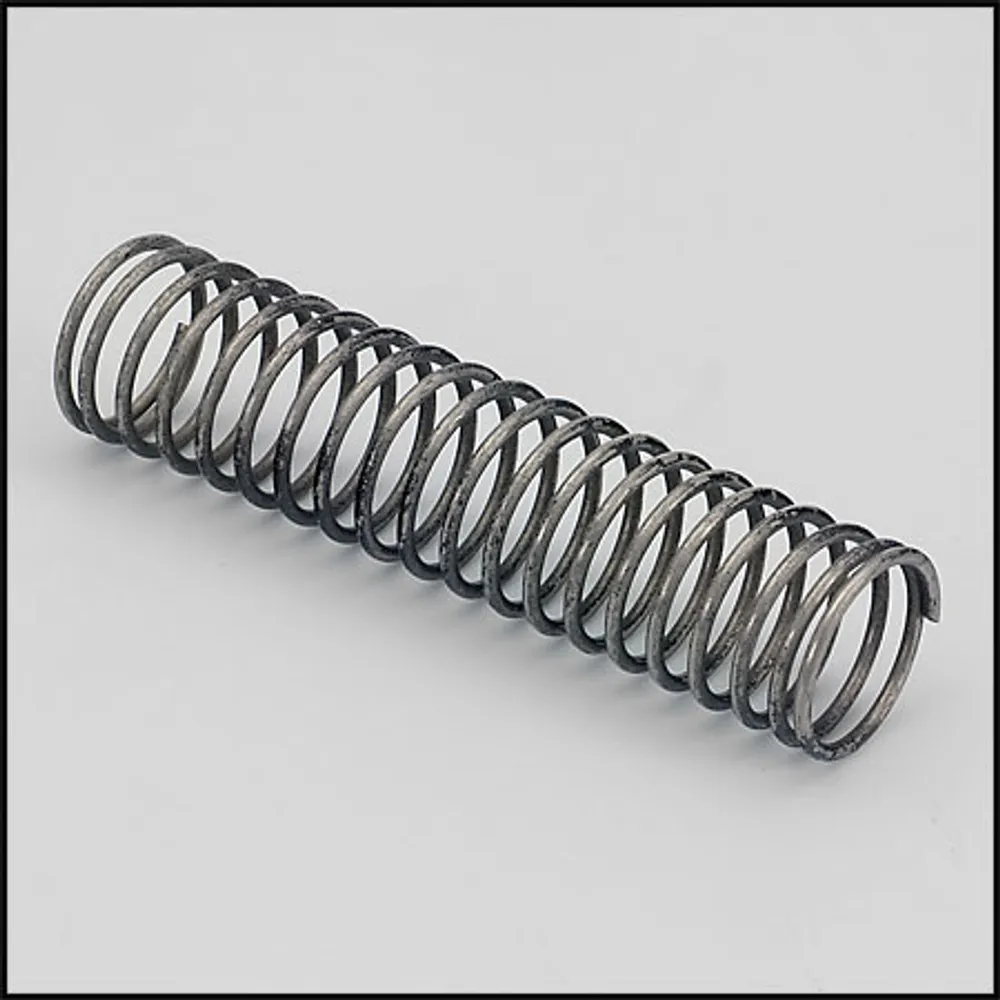 Raypak Bypass Spring (#850253)
