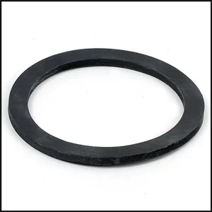 Raypak Gasket For Heating Element (#800164)