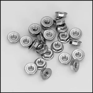 Raypak Header To Heater Exchange Flange Nut Kit (#008259F)