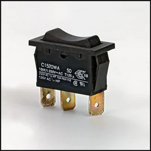 Raypak RP2100 Capron Heater Rocker Switch Electronic IID Unit #100-10000711 (Replaces #650903)