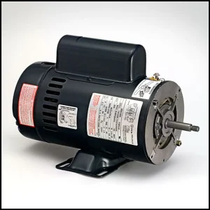 Regal Beloit/A.O. Smith 2-1/2 HP 2 Speed 230V Only Thru Bolt Pump Motor (#SDS1252)