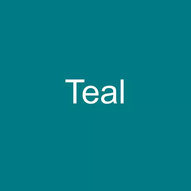 Safety Grip 5 ft Length, Teal