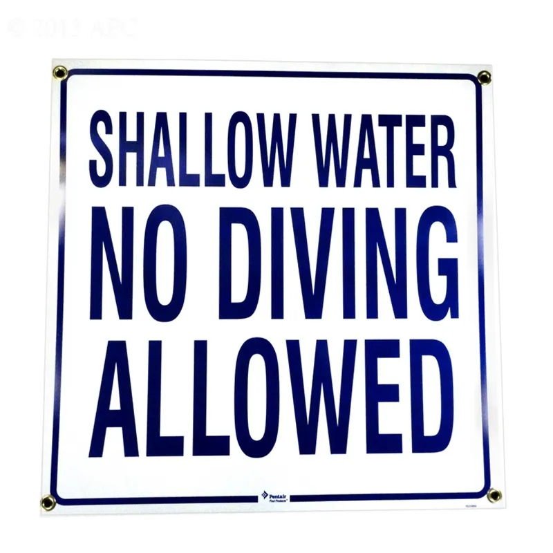 South Carolina No Diving Sign