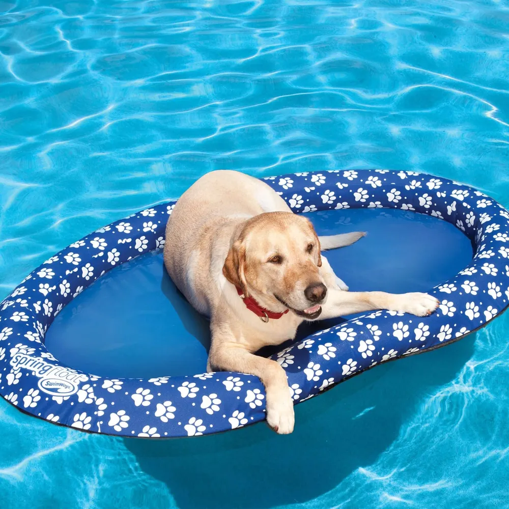 Spin Master 6038954 Spring Float Paddle Paws – Large