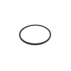 Sta-rite Diffuser O-Ring V26-368 U9-226