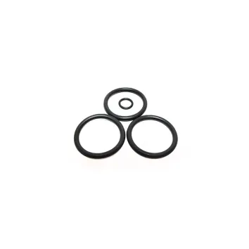 Sta-rite Piston O-Ring Set 2″ V26-341S