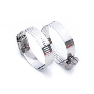 Stainless Steel Clamps (2 Pack)
