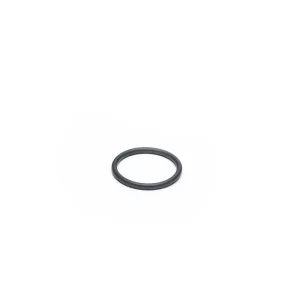 Strainer Pump Connector O-Ring