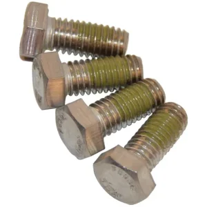 SUPER PUMP MOTOR CAP SCREW (SET OF 4)