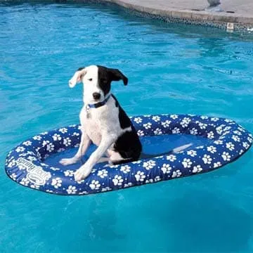 SwimWays Paddle Paws Dog Spring Float- Small