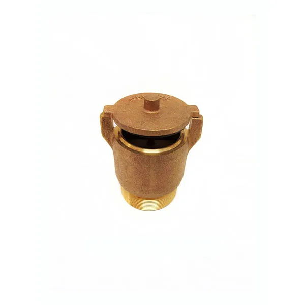 Val-Pak Hydrostatic Relief Valve 2″ Brass V50-126 N/A