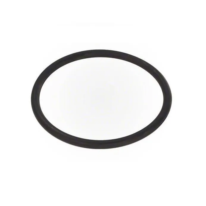 Vision Pro Cartridge O-Ring