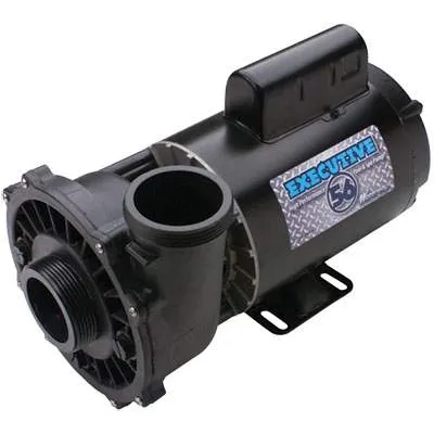 Waterway Executive Spa Pump 3HP Model 3721221-1D