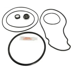 Whisperflo Intelliflo Pump Seal Kit